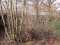 /album/jarni-uklid-dne-29-3-2014/brigda-kostel-29-3-2014-012-jpg/